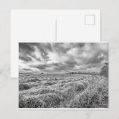 Ackerland im ländlichen Norfol Postkarte (Vorne/Hinten)
