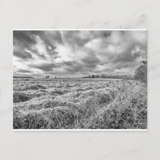 Ackerland im ländlichen Norfol Postkarte