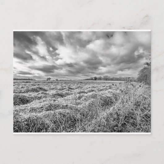 Ackerland im ländlichen Norfol Postkarte (Vorderseite)