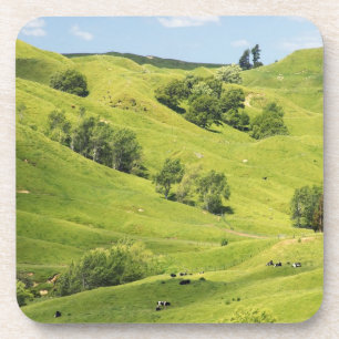 Ackerland in der Nähe von Gisborne, Neuseeland Getränkeuntersetzer