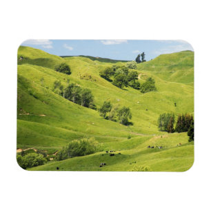 Ackerland in der Nähe von Gisborne, Neuseeland Magnet