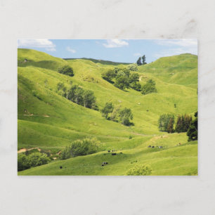 Ackerland in der Nähe von Gisborne, Neuseeland Postkarte