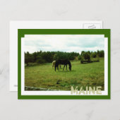 Ackerland Postkarte (Vorne/Hinten)