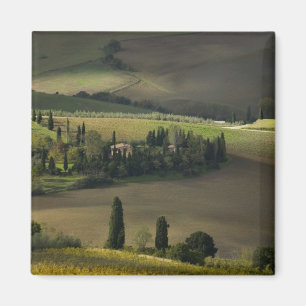 Ackerland um Montepulciano, Toskana, Italien Magnet