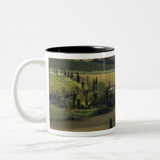 Ackerland um Montepulciano, Toskana, Italien Zweifarbige Tasse (Links)