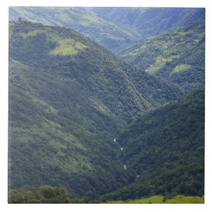 Ackerland und Himalaja-Wald im Mangdue-Tal Fliese
