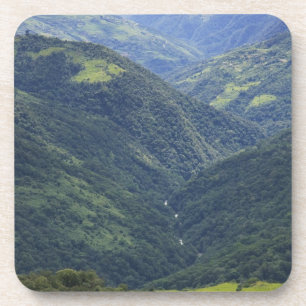 Ackerland und Himalaja-Wald im Mangdue-Tal Untersetzer