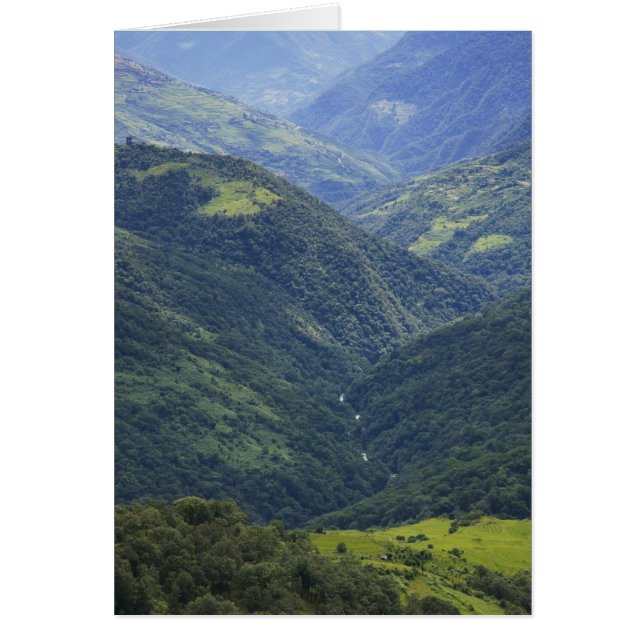 Ackerland und Himalaya-Wald im Mangdue-Tal (Vorne)