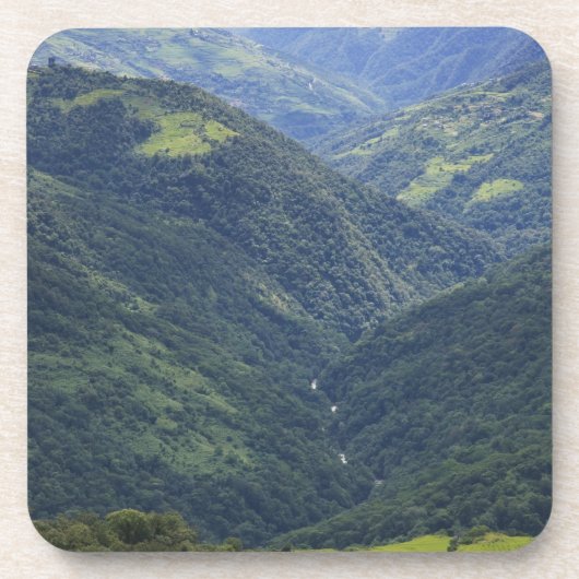 Ackerland und Himalaya-Wald im Mangdue-Tal Untersetzer (Vorderseite)