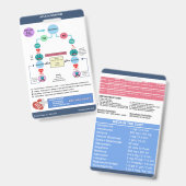 ACLS Algorithmus von Nurse Cheats® Ausweis (Vorder- & Rückseite)