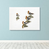 Acocets Leinwanddruck (Insitu (Holzboden))