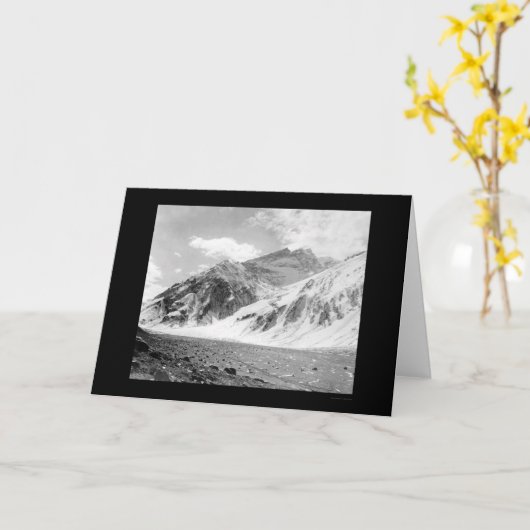 Aconcagua in Argentinien 1902 Karte (Gelbe Blume)