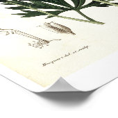 Aconitum Napellus von der "Phytographie Medicale" Poster (Ecke)