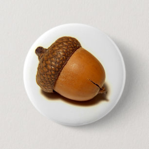 Acorn Button