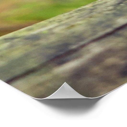 Acorn elf auf dem Fahrradposter Poster (Ecke)