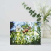 Acorn-Elf auf dem Löwenzahn Postkarte (Stehend Vorderseite)
