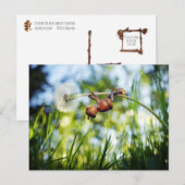 Acorn-Elf auf dem Löwenzahn Postkarte (Vorne/Hinten)