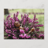 Acorn elf auf der Ansichtskarte für den Gesundheit