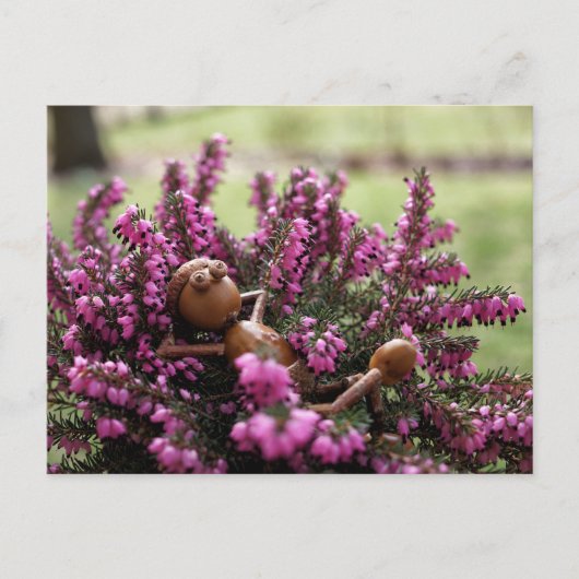 Acorn elf auf der Ansichtskarte für den Gesundheit Postkarte (Vorderseite)