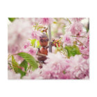Acorn-Elf auf der blühenden Sakura-Baumkarte