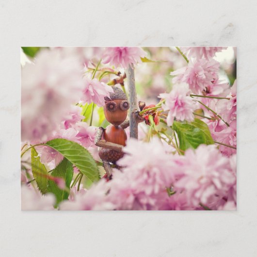 Acorn-Elf auf der blühenden Sakura-Baumkarte Postkarte (Vorderseite)