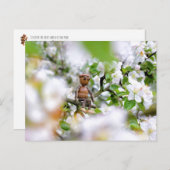 Acorn elf auf der Blüte Postkarte (Vorne/Hinten)