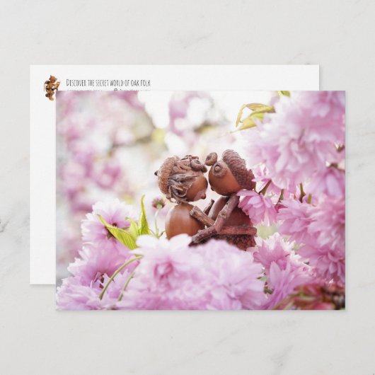 Acorn-Elf auf der Blütenbaum-Postkarte Postkarte (Vorne/Hinten)