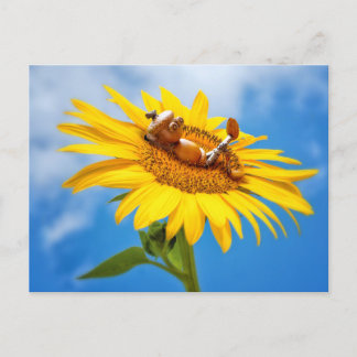 Acorn elf auf der Sonnenblume - Sommerpostkarte Postkarte
