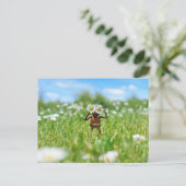 Acorn Elf auf der Wiese mit Molkereien - lustig Postkarte (Stehend Vorderseite)