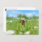 Acorn Elf auf der Wiese mit Molkereien - lustig Postkarte (Vorne/Hinten)