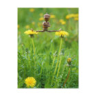 Acorn elf auf Leuchten auf der Wiese Postkarte