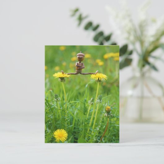 Acorn elf auf Leuchten auf der Wiese Postkarte (Stehend Vorderseite)