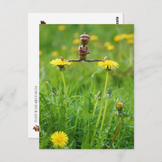 Acorn elf auf Leuchten auf der Wiese Postkarte (Vorne/Hinten)