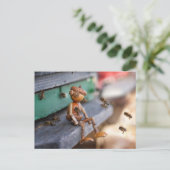 Acorn elf Bienenhalter Federkarte Postkarte (Stehend Vorderseite)