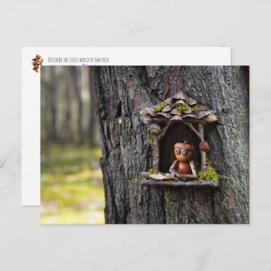 Acorn elf Blick aus dem Fenster Postkarte (Vorne/Hinten)