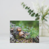 Acorn-Elf, der im Wald ruht Postkarte (Stehend Vorderseite)