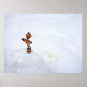 Acorn Elf, ein gelbes Herz im Winter Poster (Vorne)