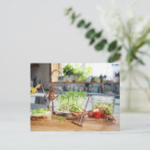 Acorn elf erntet grüne Kräuter in der Küche Postkarte (Stehend Vorderseite)