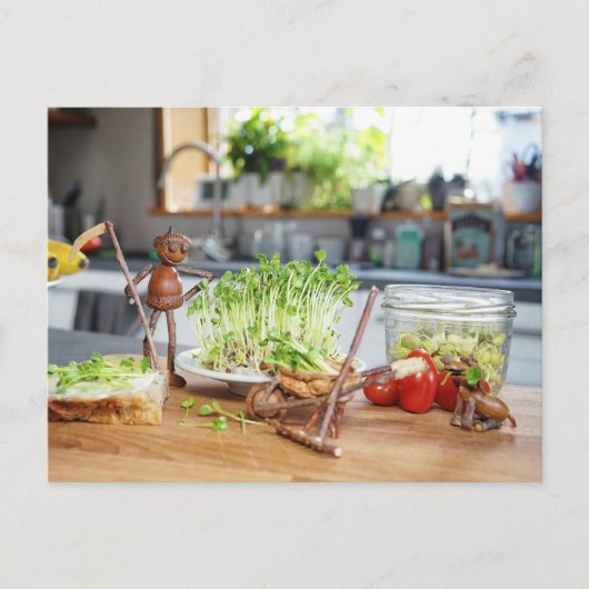 Acorn elf erntet grüne Kräuter in der Küche Postkarte (Vorderseite)