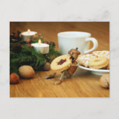 Acorn elf Essen Cookie - Weihnachtskarte Postkarte (Vorderseite)