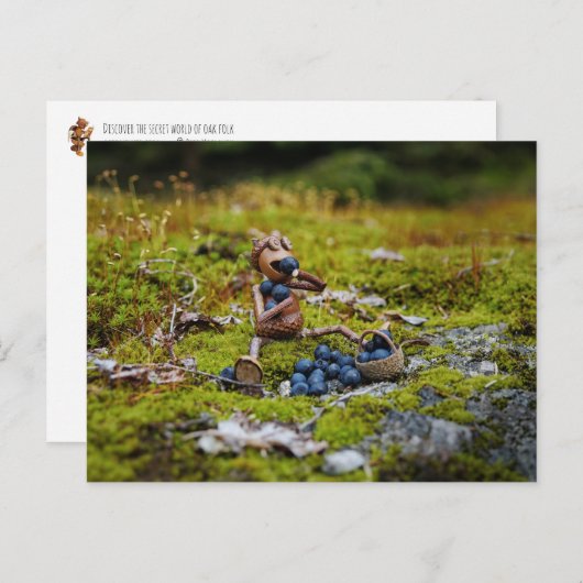 Acorn elf essen Heidelbeeren auf dem Moos Postkarte (Vorne/Hinten)