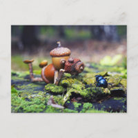 Acorn Elf Fotograf mit Bug