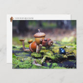 Acorn Elf Fotograf mit Bug Postkarte (Vorne/Hinten)