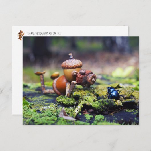 Acorn Elf Fotograf mit Bug Postkarte (Vorne/Hinten)