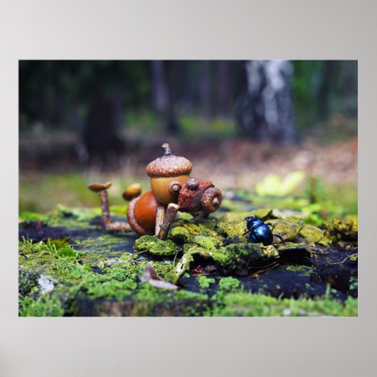 Acorn-Elf-Fotograf mit Fehlerposter Poster (Vorne)