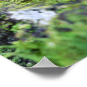 Acorn-Elf-Fotograf mit Fehlerposter Poster (Ecke)