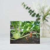 Acorn Elf Frühlingsgärtner Postkarte (Stehend Vorderseite)