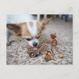 Acorn elf fütternd Chihuahua Postkarte