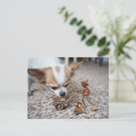 Acorn elf fütternd Chihuahua Postkarte (Stehend Vorderseite)
