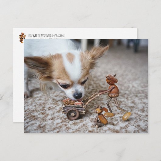 Acorn elf fütternd Chihuahua Postkarte (Vorne/Hinten)
